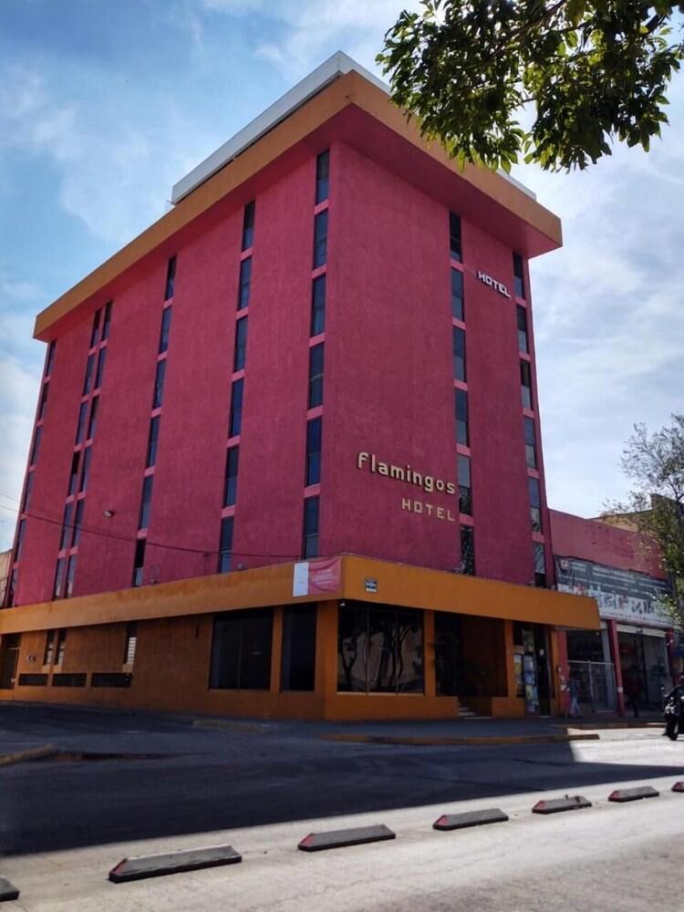 Hotel Flamingos Guadalajara Kültér fotó